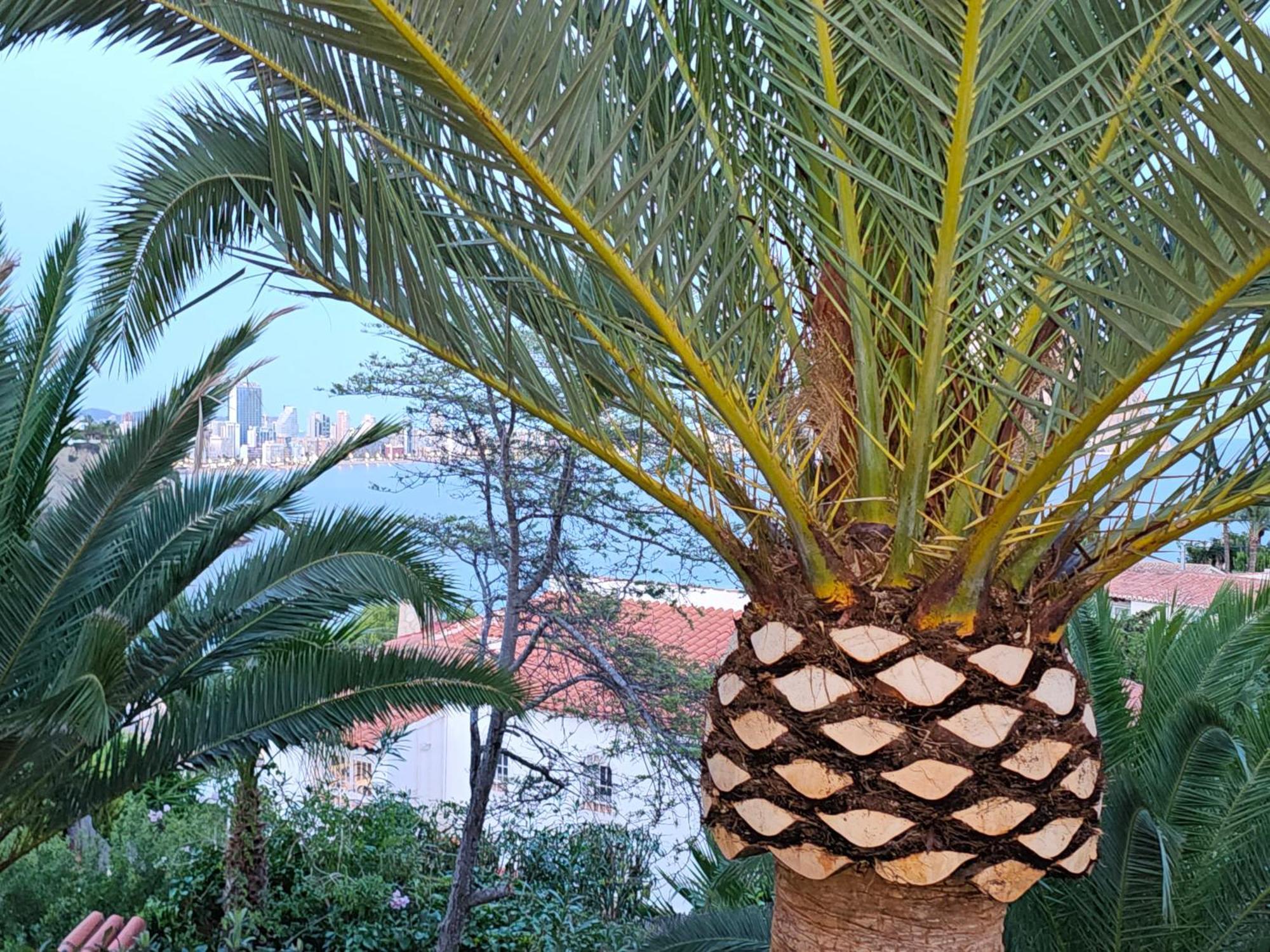 Casa Veintiuno En Calp公寓 外观 照片
